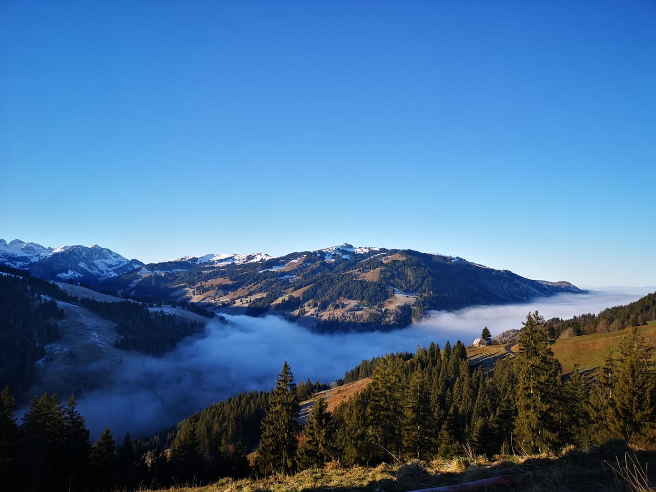 Bergnest in märchenhafter Alpenkulisse