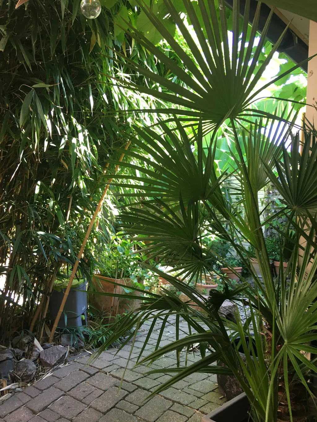 Mini Tiny Garden House Banana