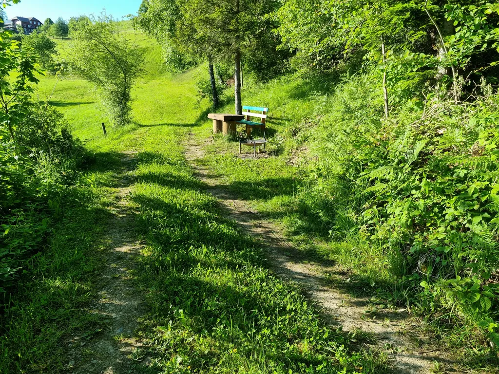 Menzberg Camp - Am Waldrand