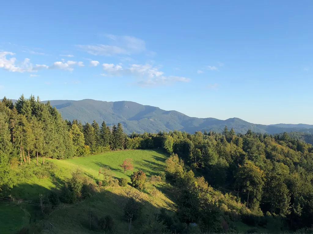 Bild von Marina für den Spot 1308