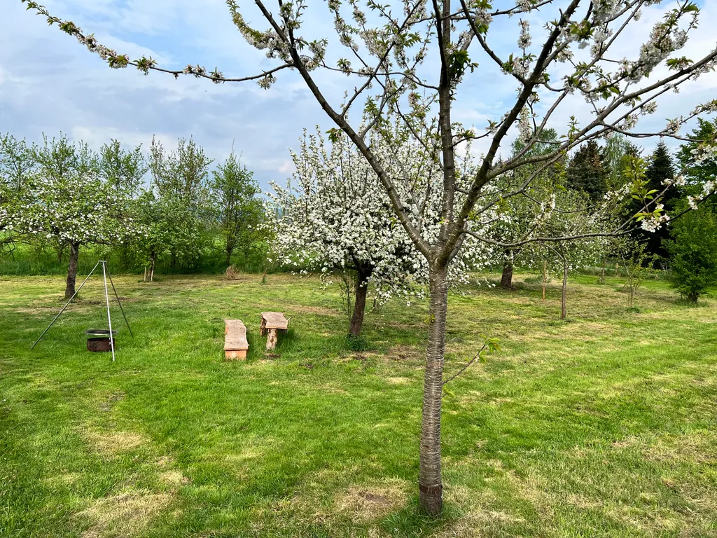 Biwakplatz & Zeltwiese🏕️