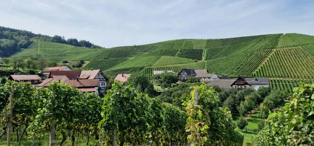 Stellplatz am Winzerhof