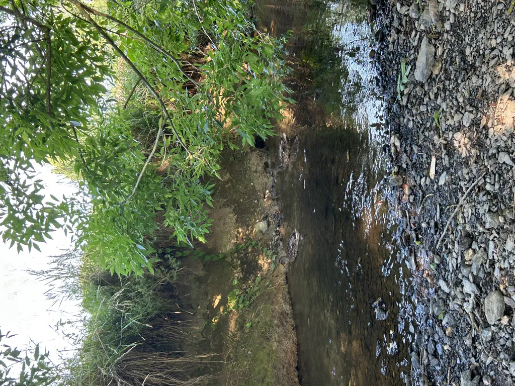 Bild von Sara für den Spot 1513