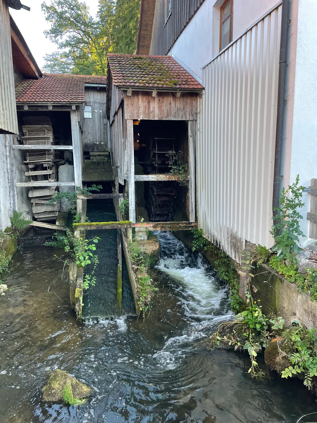 Bild von Cornelia für den Spot 4177