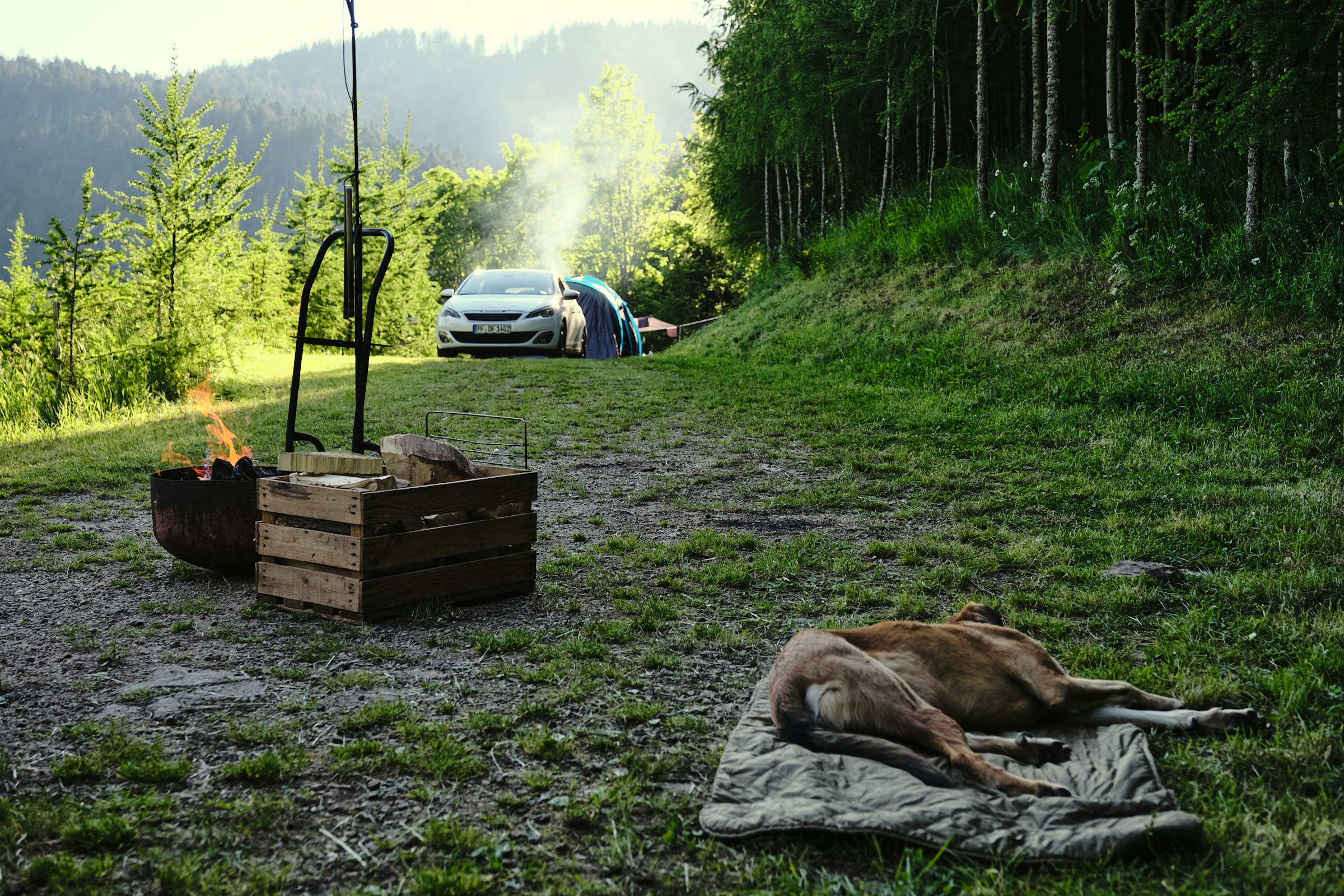BĂŒhl - Beim Naturdenkmal đłEicheđł