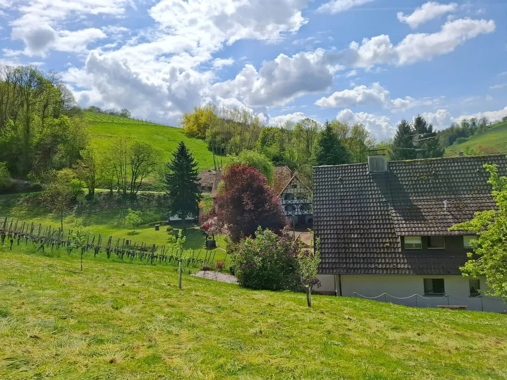 Idylle im Rebland "Alde Gott"