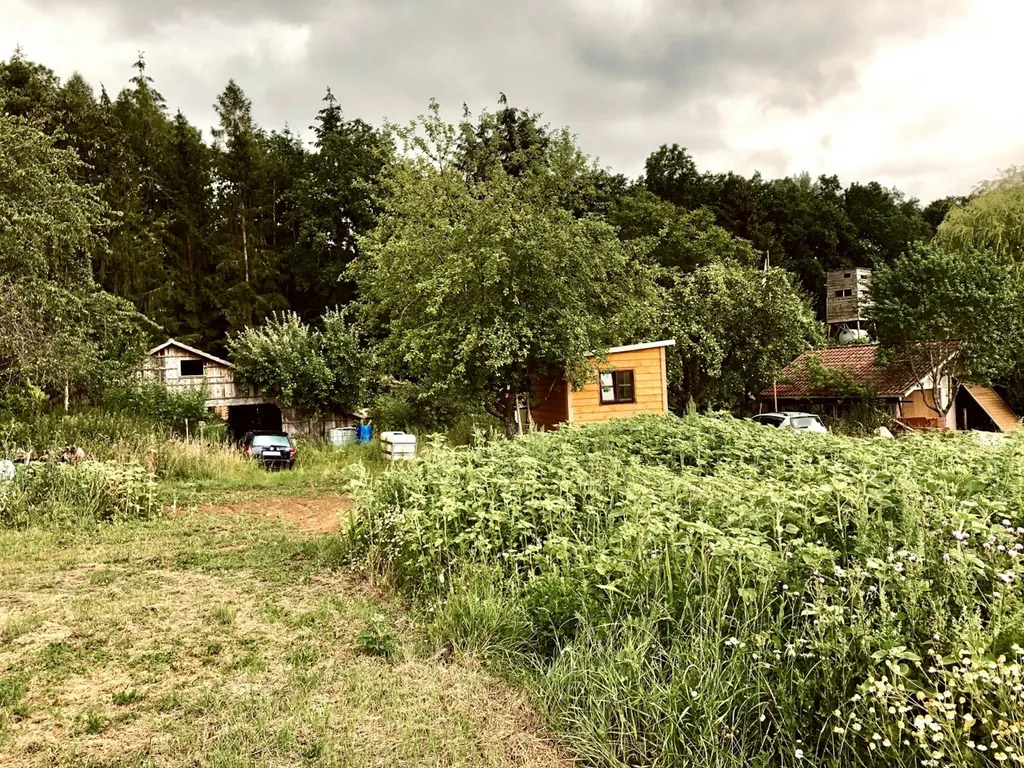 Biotoplandschaft Erdkinderdorf