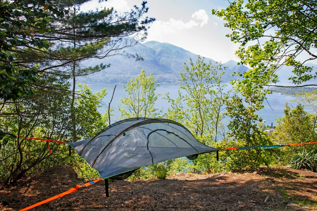 La Sorgente (camelia)