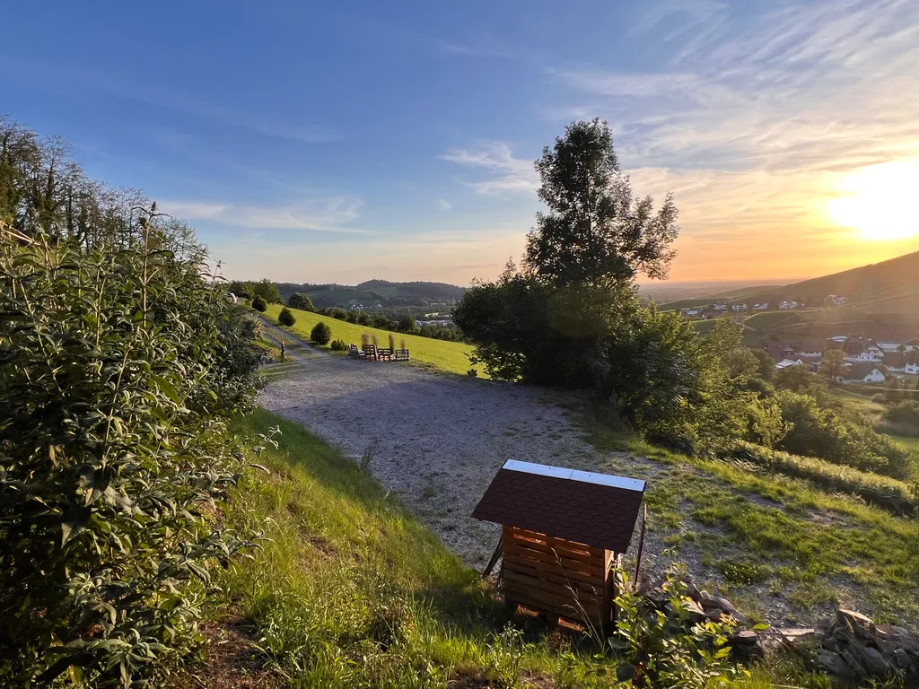 Blick von ganz hinten über den Platz