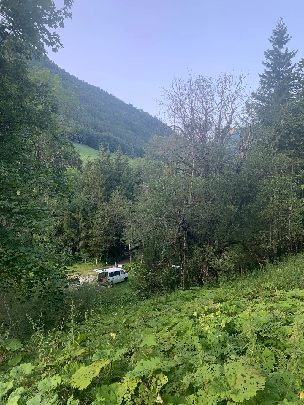 Bild von andrea für den Spot 75