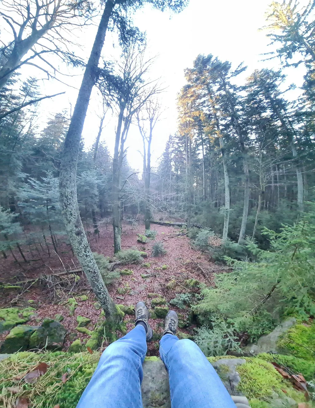 Profilbild von Denni