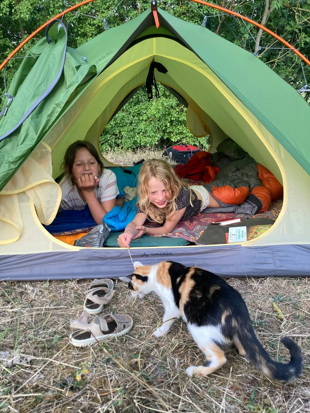 Zeltplatz unterm Apfelbaum