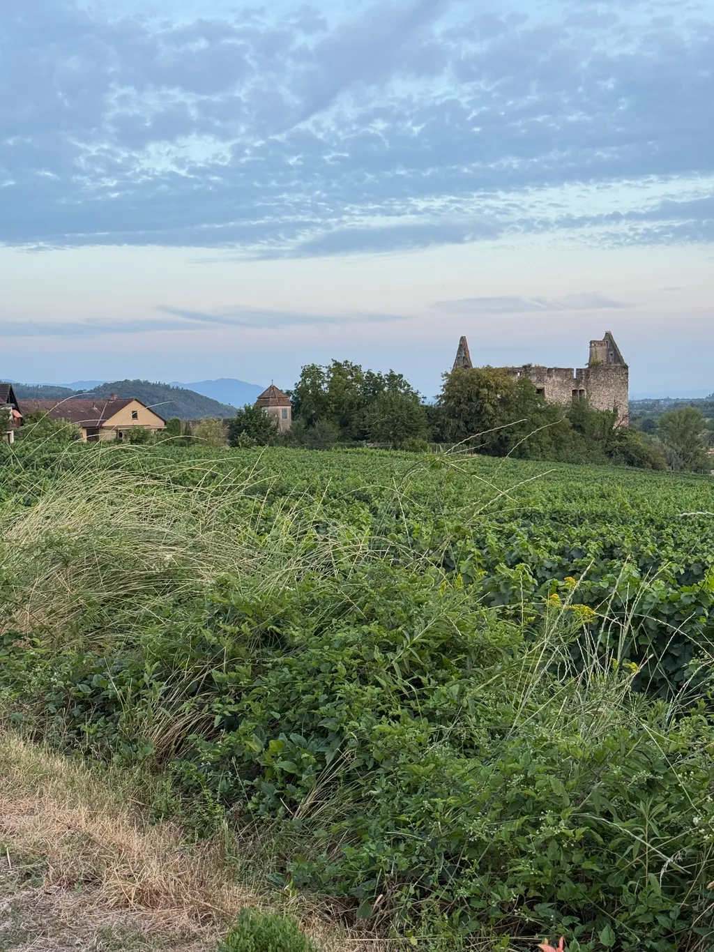 Bild von Sina für den Spot 1690