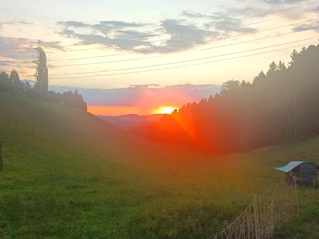 Bild von Veronika für den Spot 4176