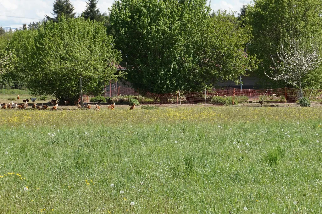 Schönes Plätzchen neben Biohof