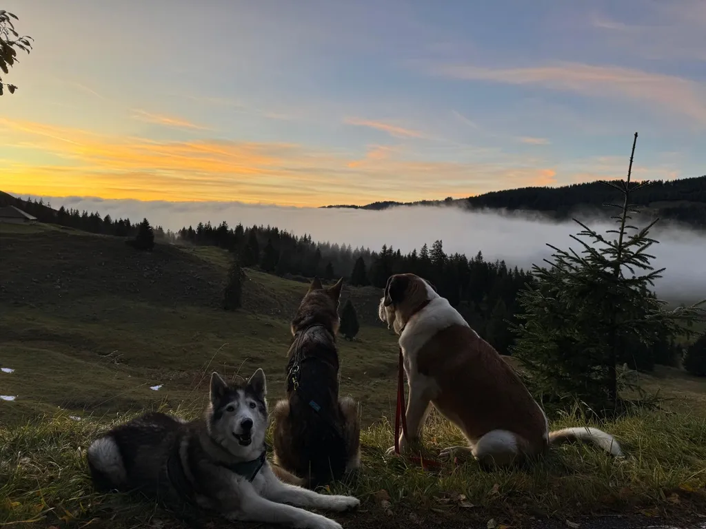 Bild von Claudia für den Spot 1104