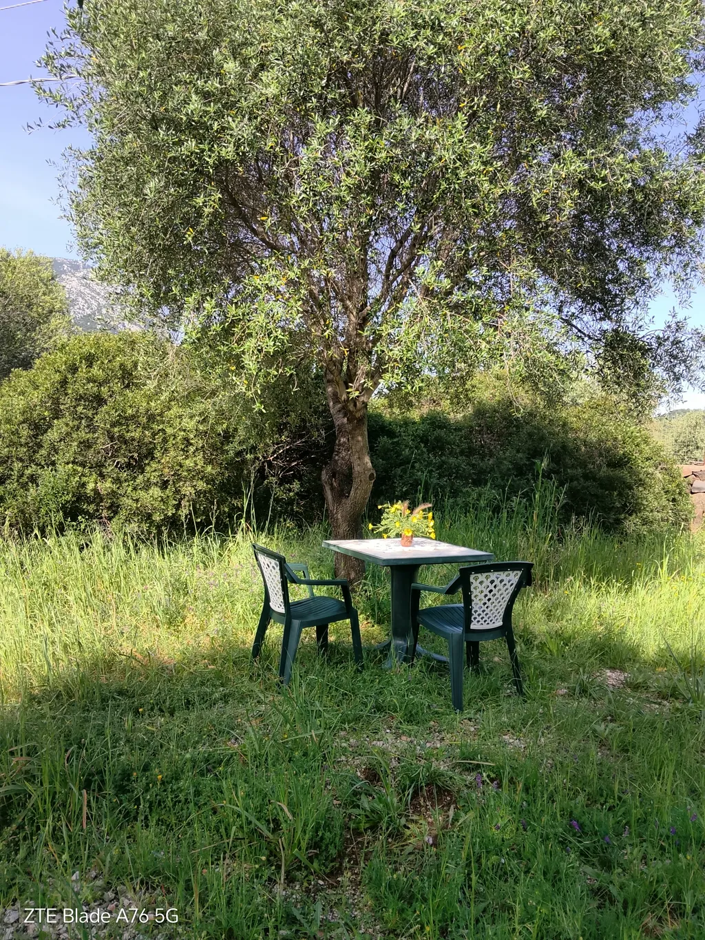 Campagna mediterranea a tre km dal mare