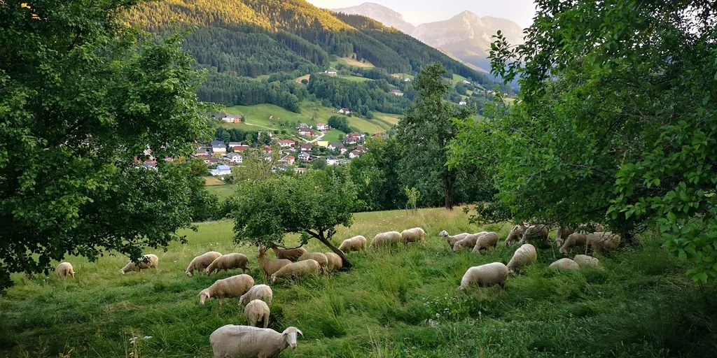 Zeltplatz mit Aussicht