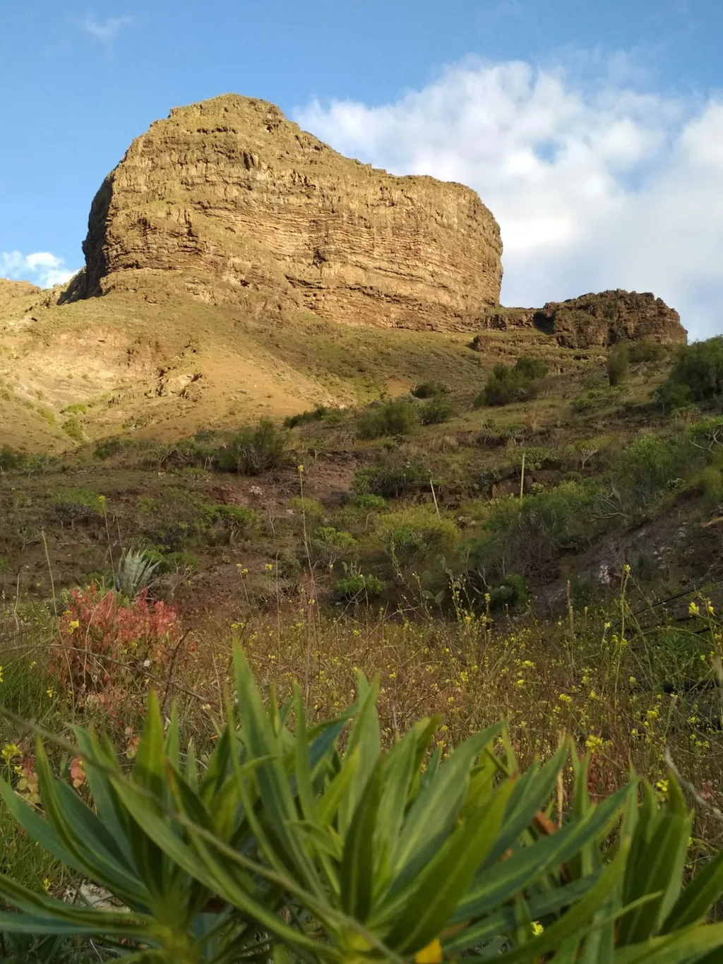 Garten Casa Dhana Gran Canaria