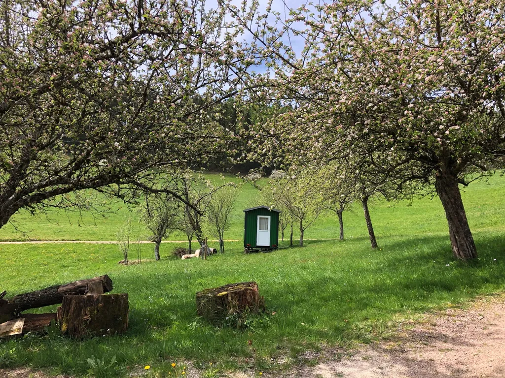 Leben im Bauwagen inmitten von Obstbäumen