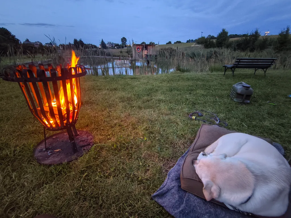Bild von Martin für den Spot 5472