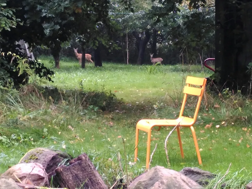 Englischer Garten