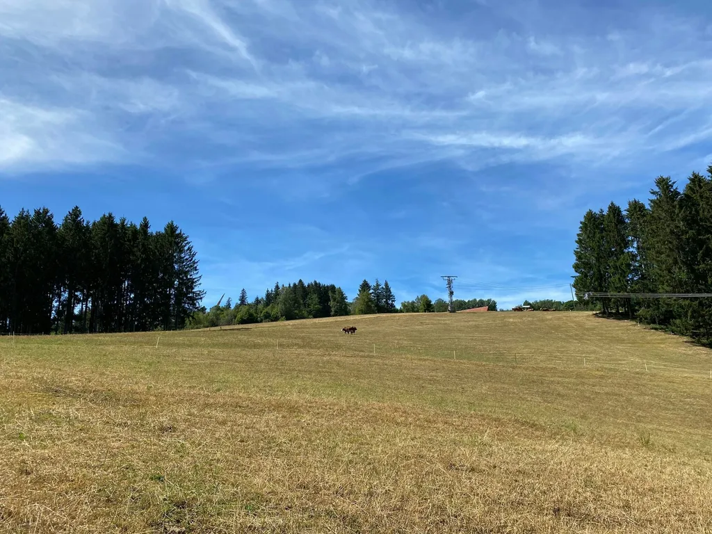 Zeltplatz mit Traumaussicht