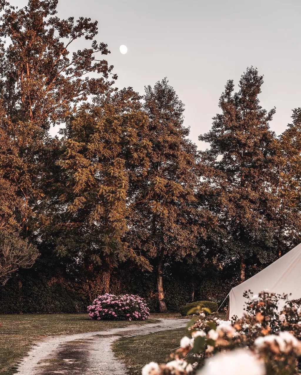 Camping à la ferme dans un endroit calme et fleuri