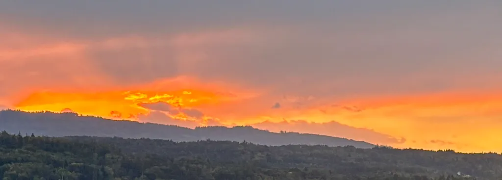 Bild von Sandra für den Spot 223