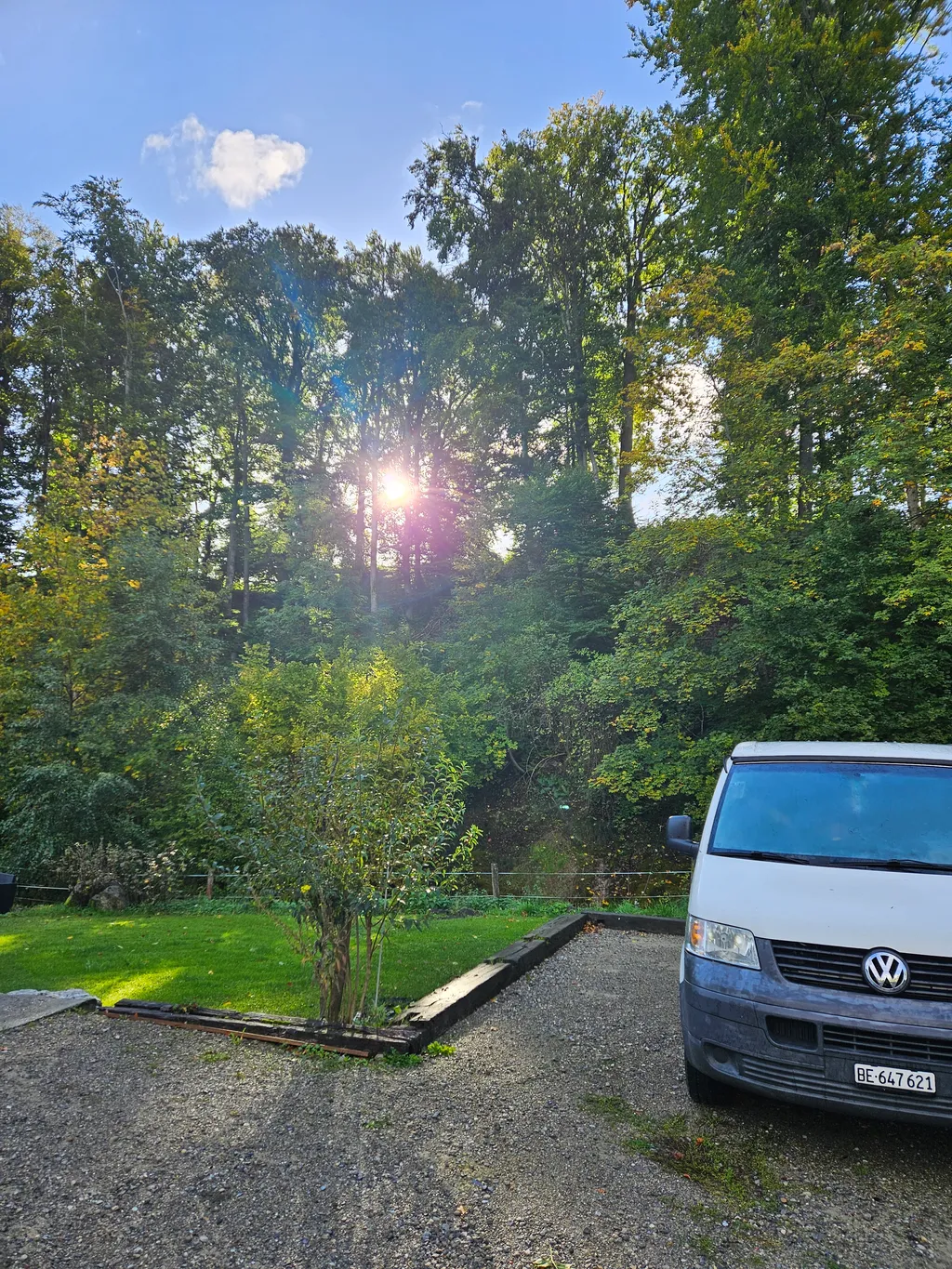 Image by Sereina for spot 3882