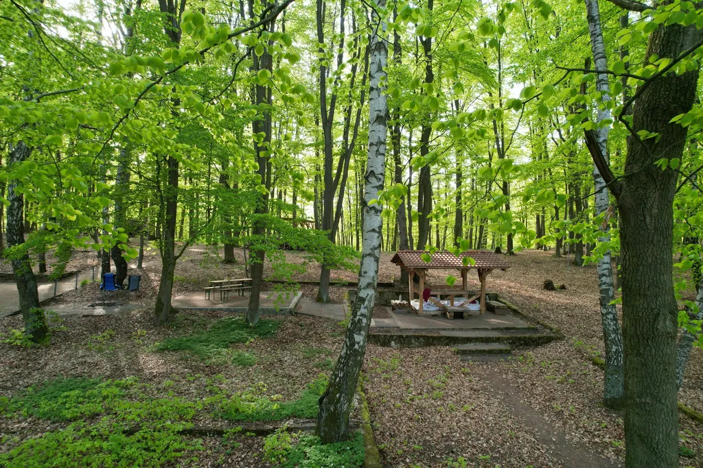 Wald-Shelter im Buchengrün