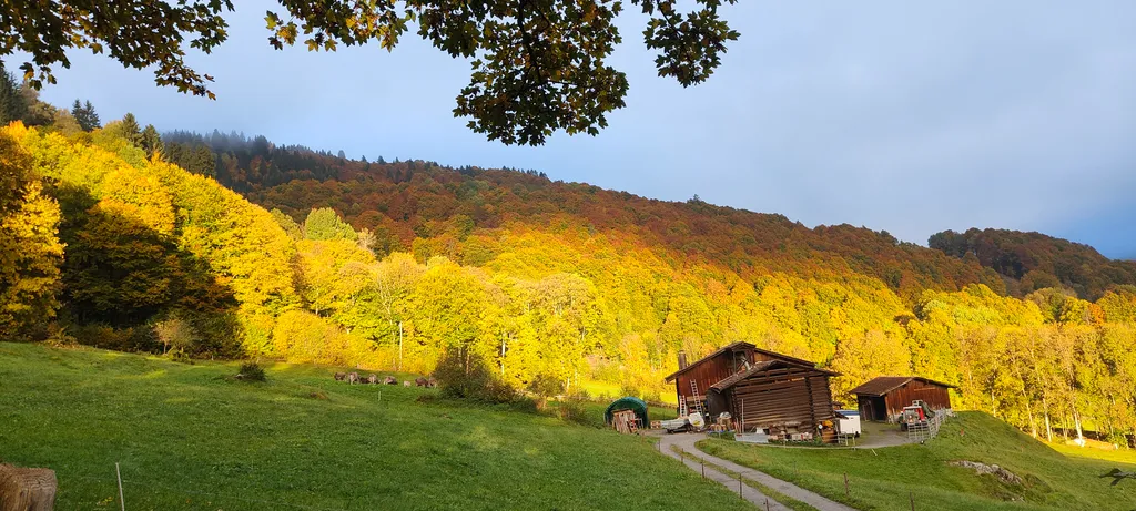 Bild von Salome für den Spot 295