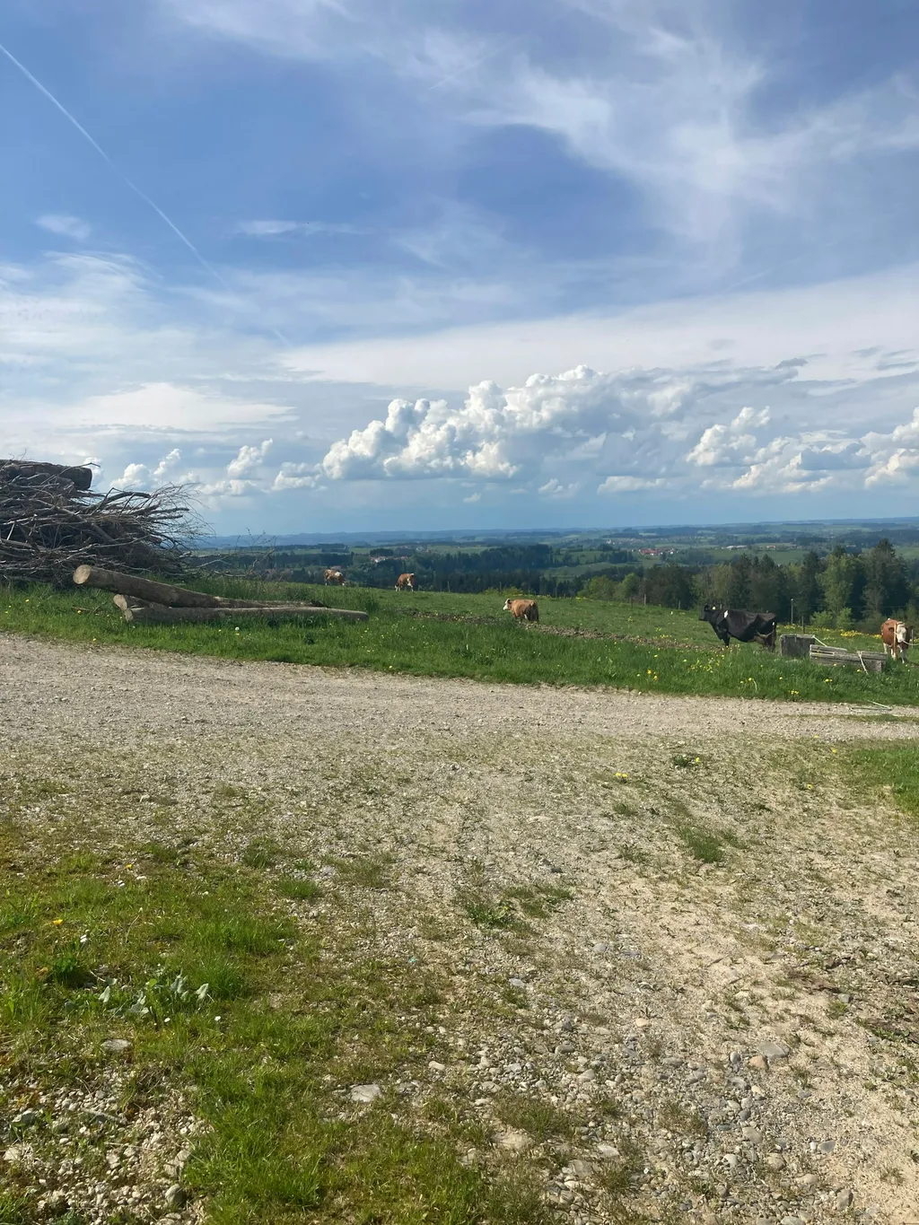 Ruhe, Natur und toller Ausblick