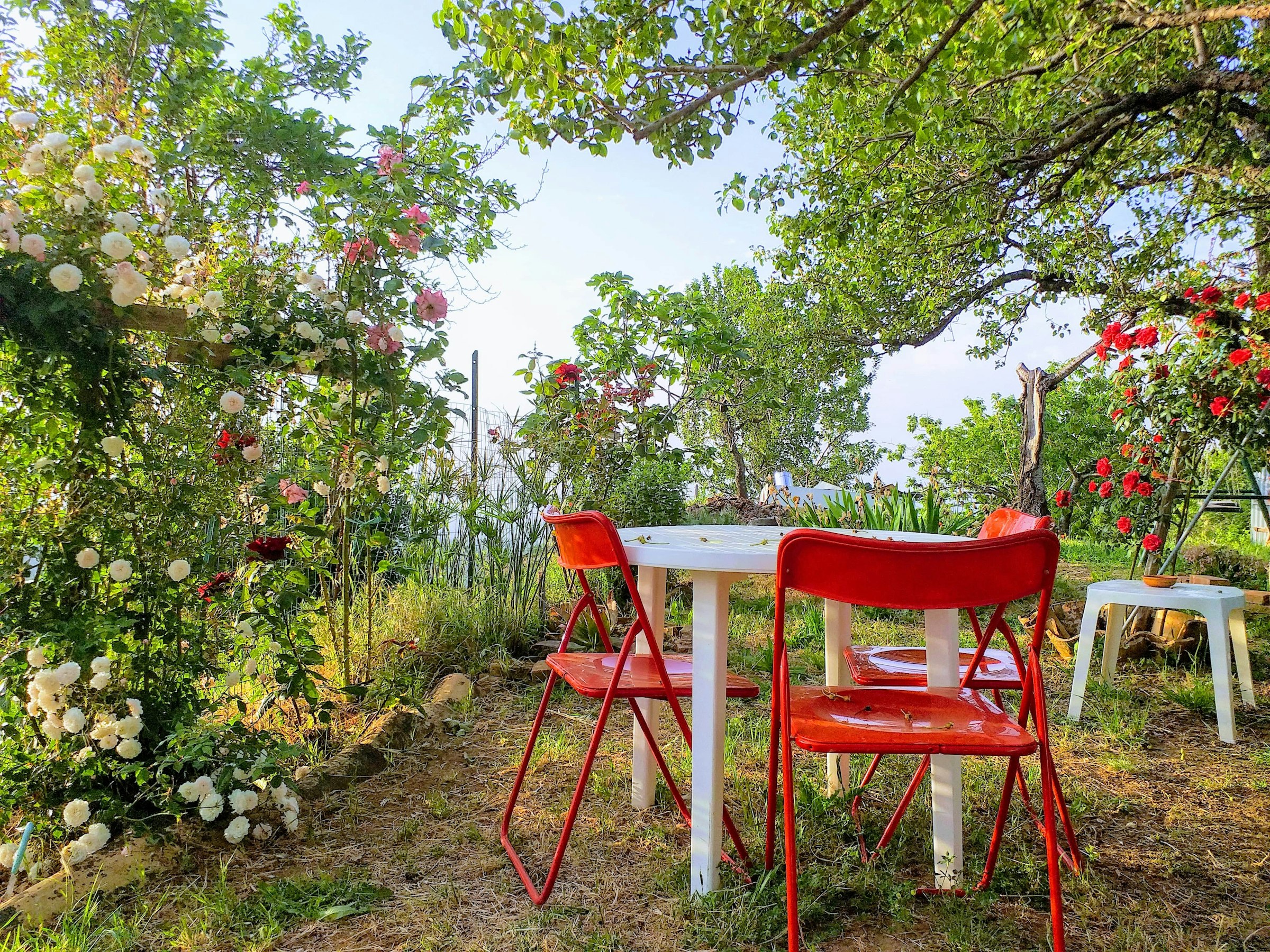 Camp Tetto Rosso