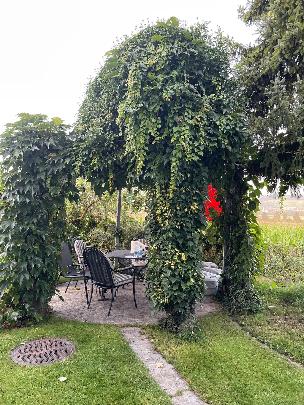 Bild von Qaisar für den Spot 3947