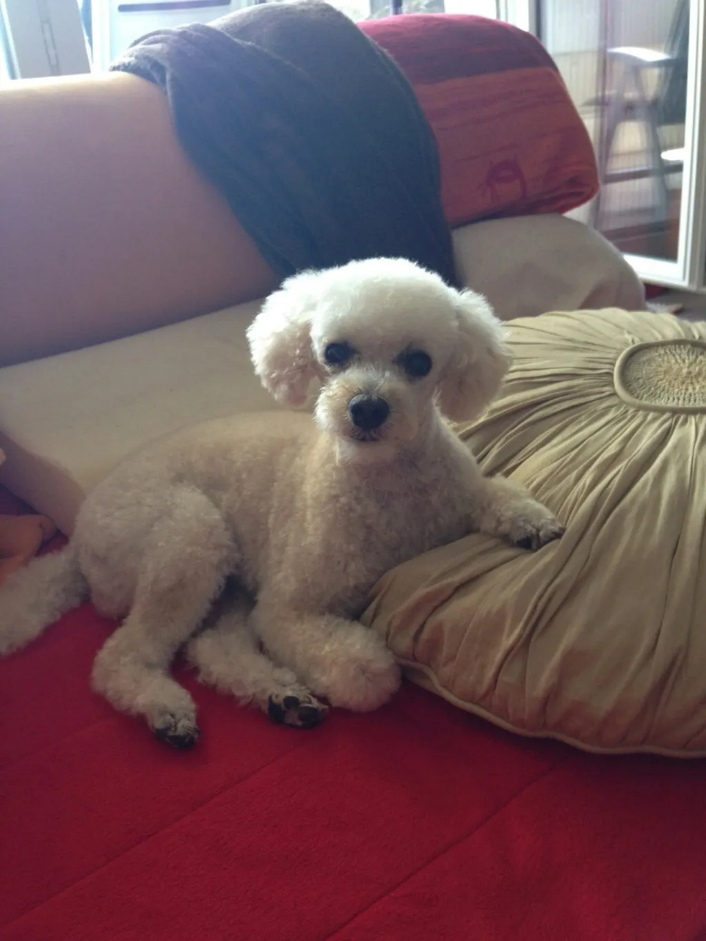 Profilbild von Mandy