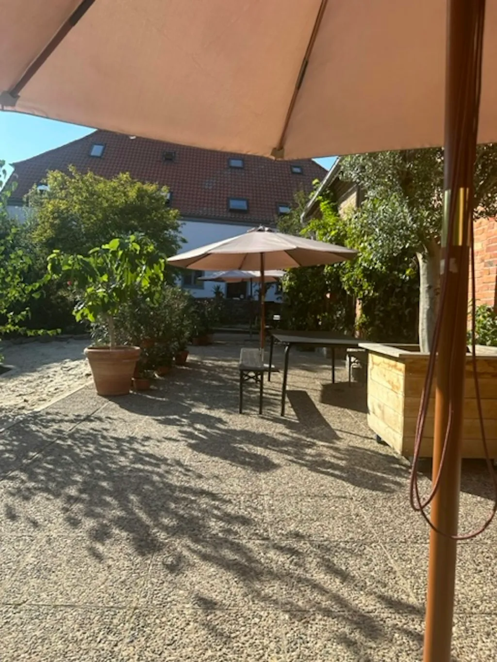 Idyllischer Apfelgarten mit Sauna