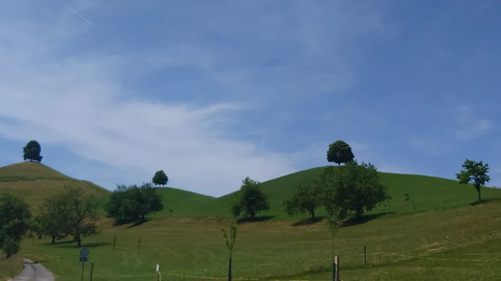 Bild von Thomas und Judith für den Spot 1229