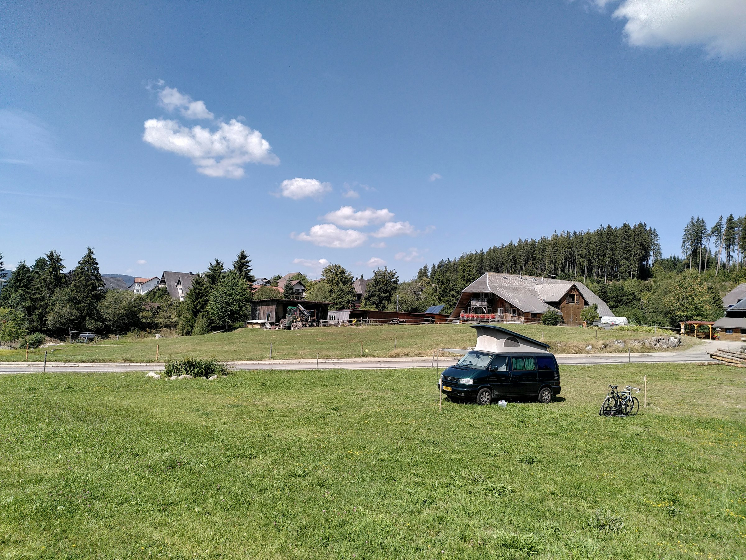 Wiese beim Schluchsee