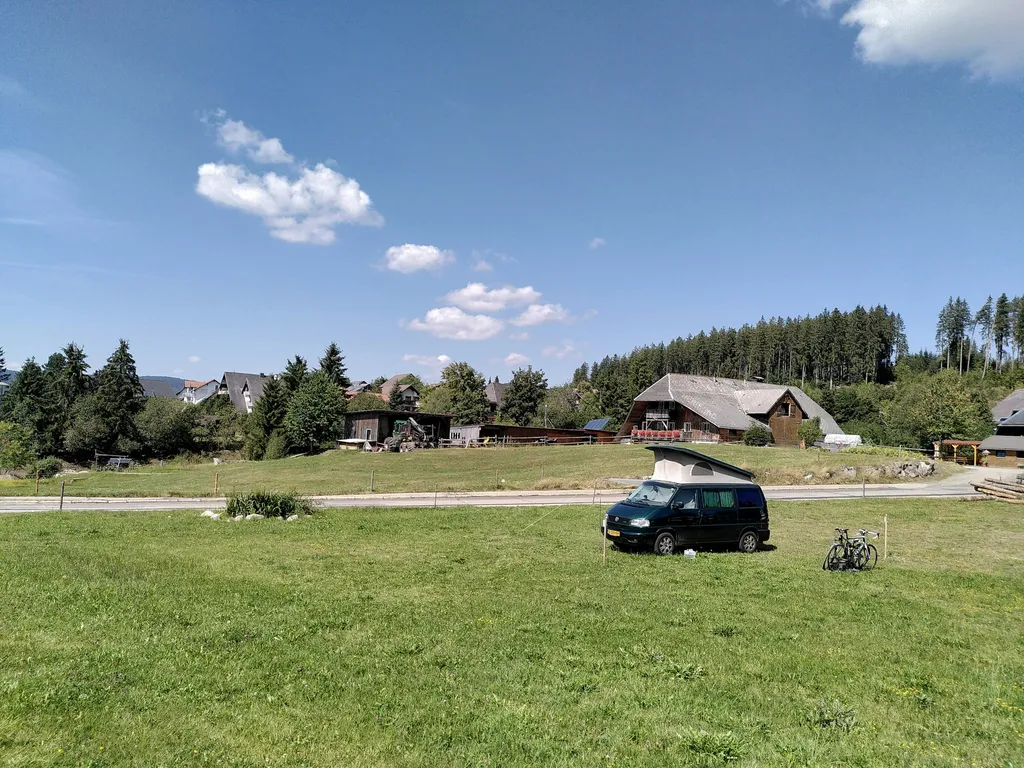 Wiese beim Schluchsee