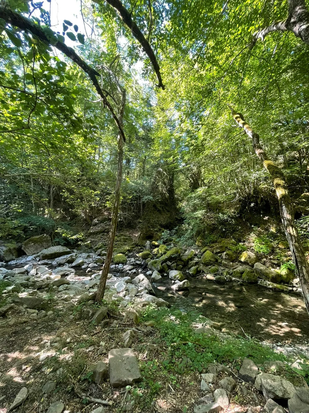 Senxunia Glamping Nel Bosco