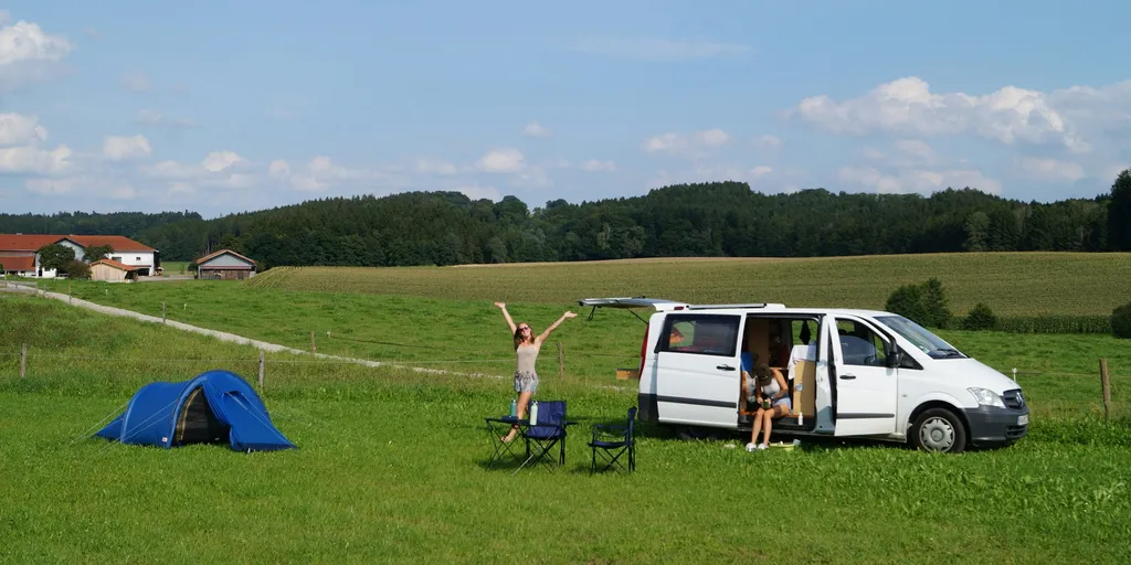 Camping auf dem Biohof neben Kühen