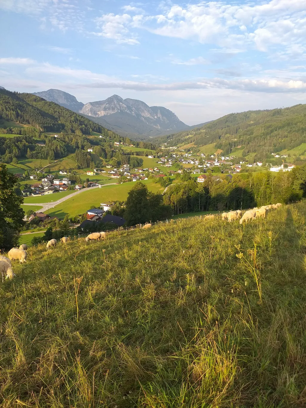 Stellplatz mit schöner Aussicht