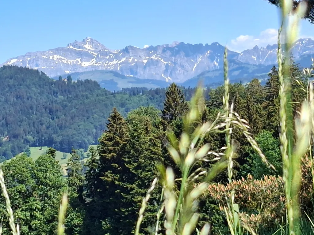 Säntisblick