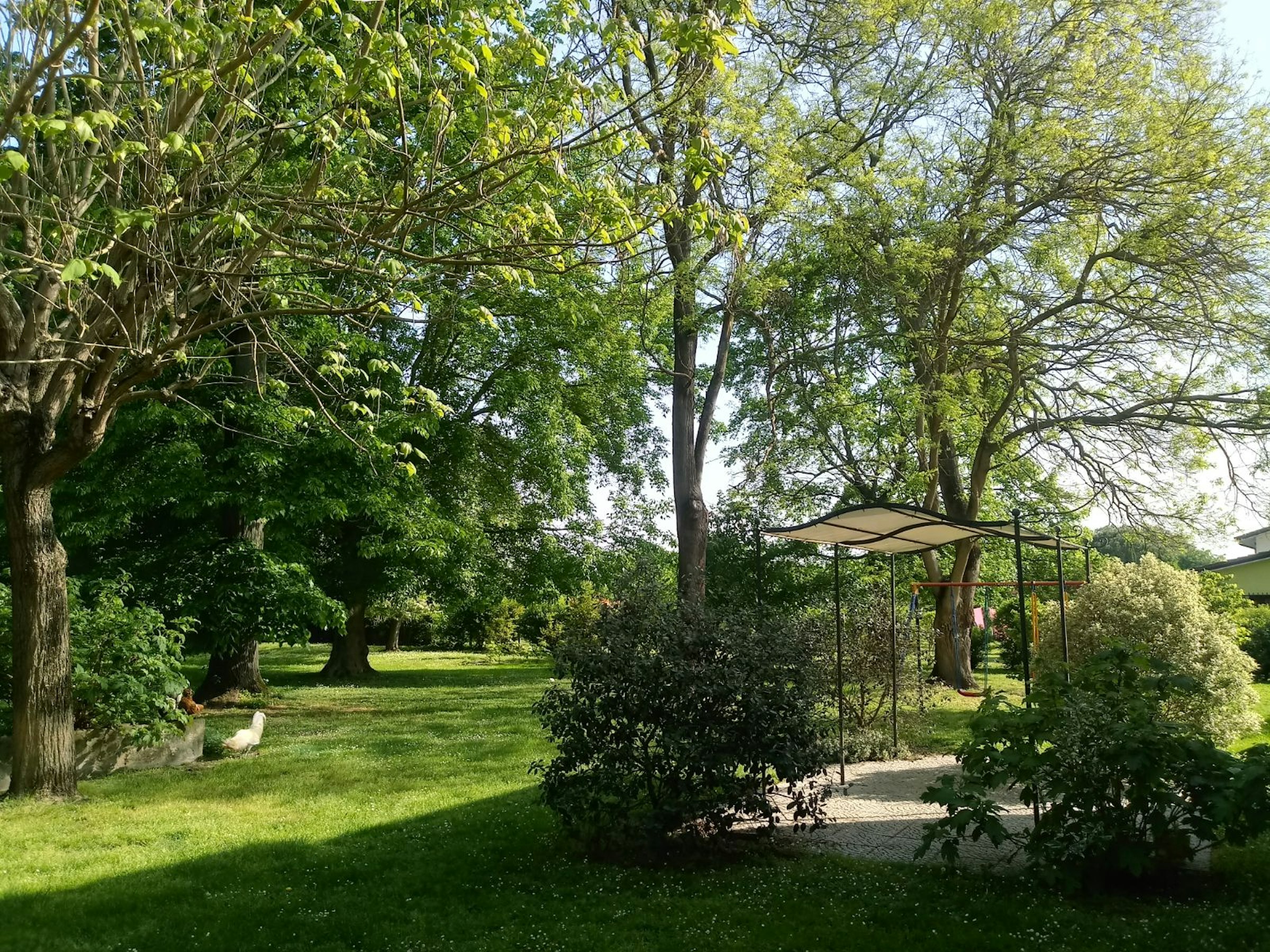 Fiume Po, natura e città d'arte