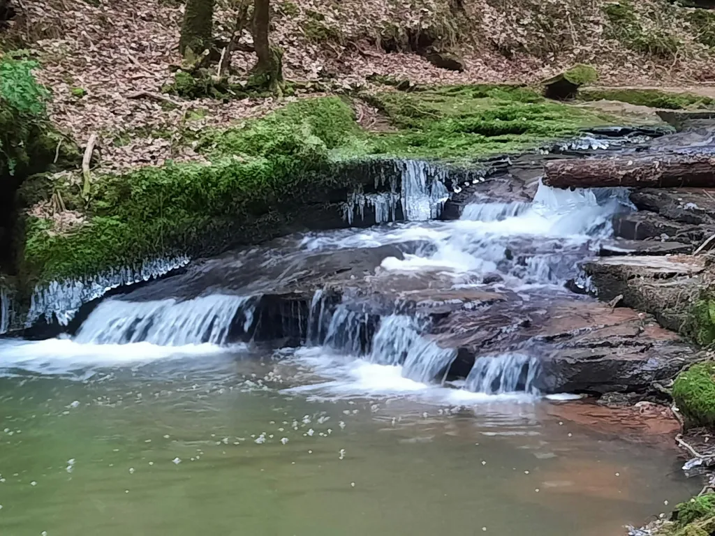 Stiefel einpacken oder Barfuß 😉 ... Wildbachwanderung