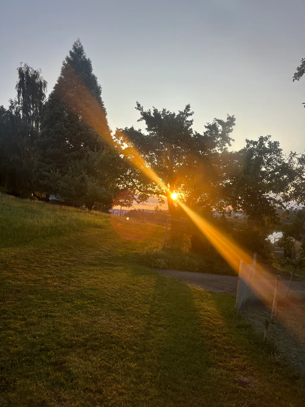 Bild von Roger für den Spot 3728