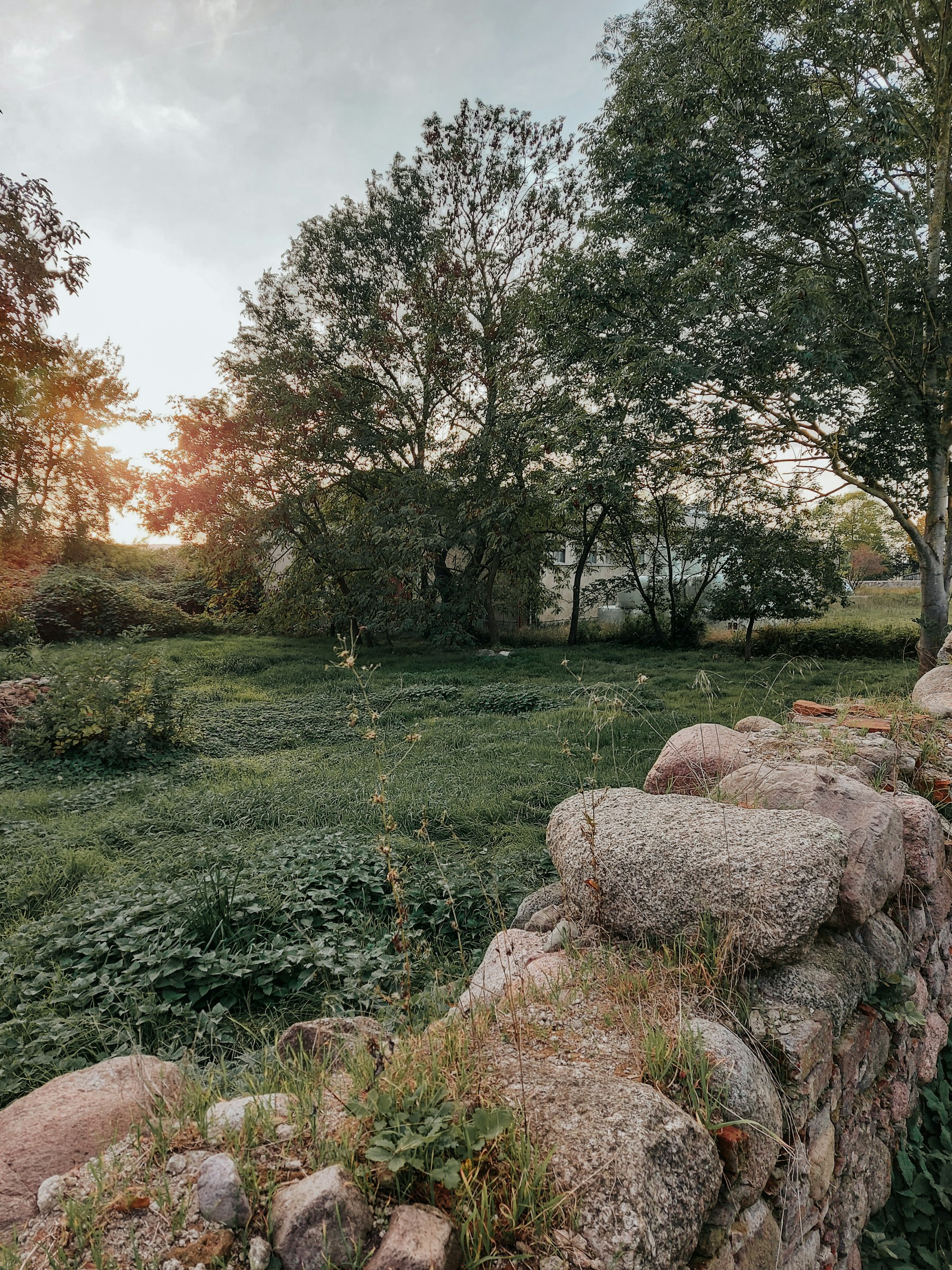 Natur pur im Tollensetal (MV)