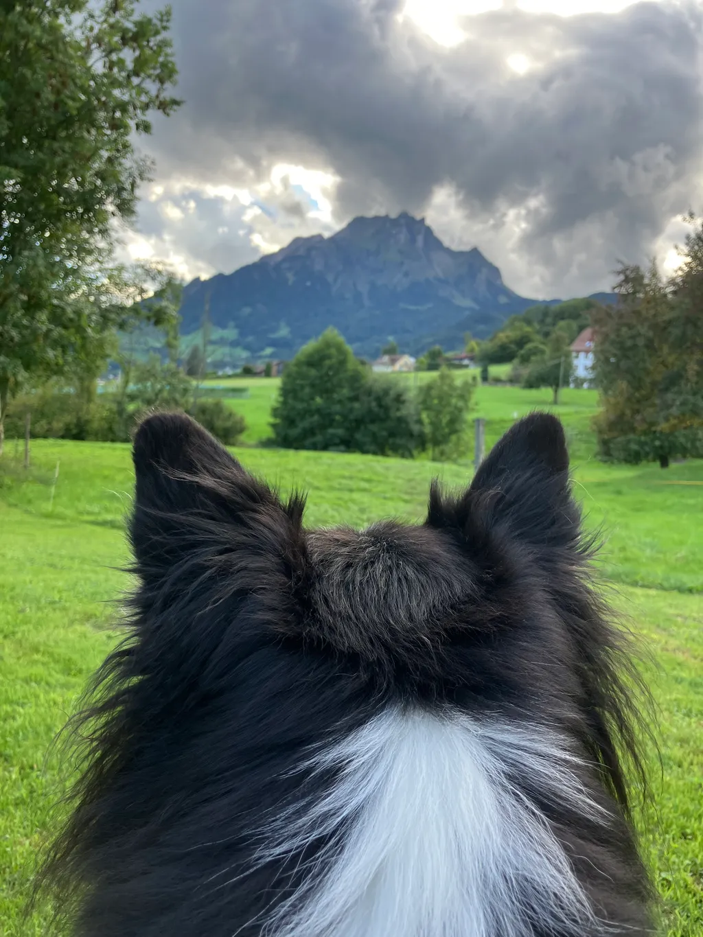 Bild von Simone für den Spot 131