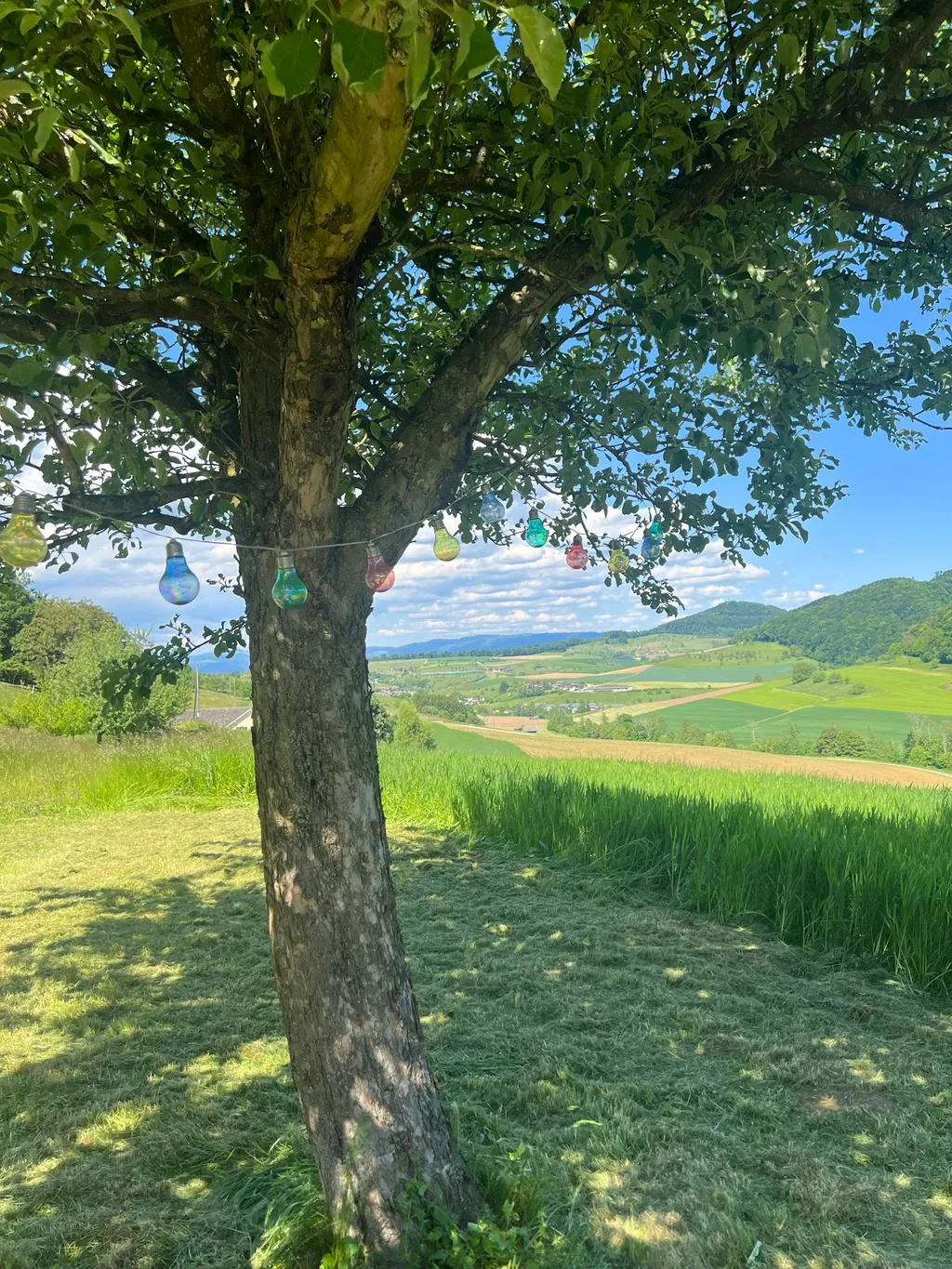 Sonnenberg-Panorama in Magden